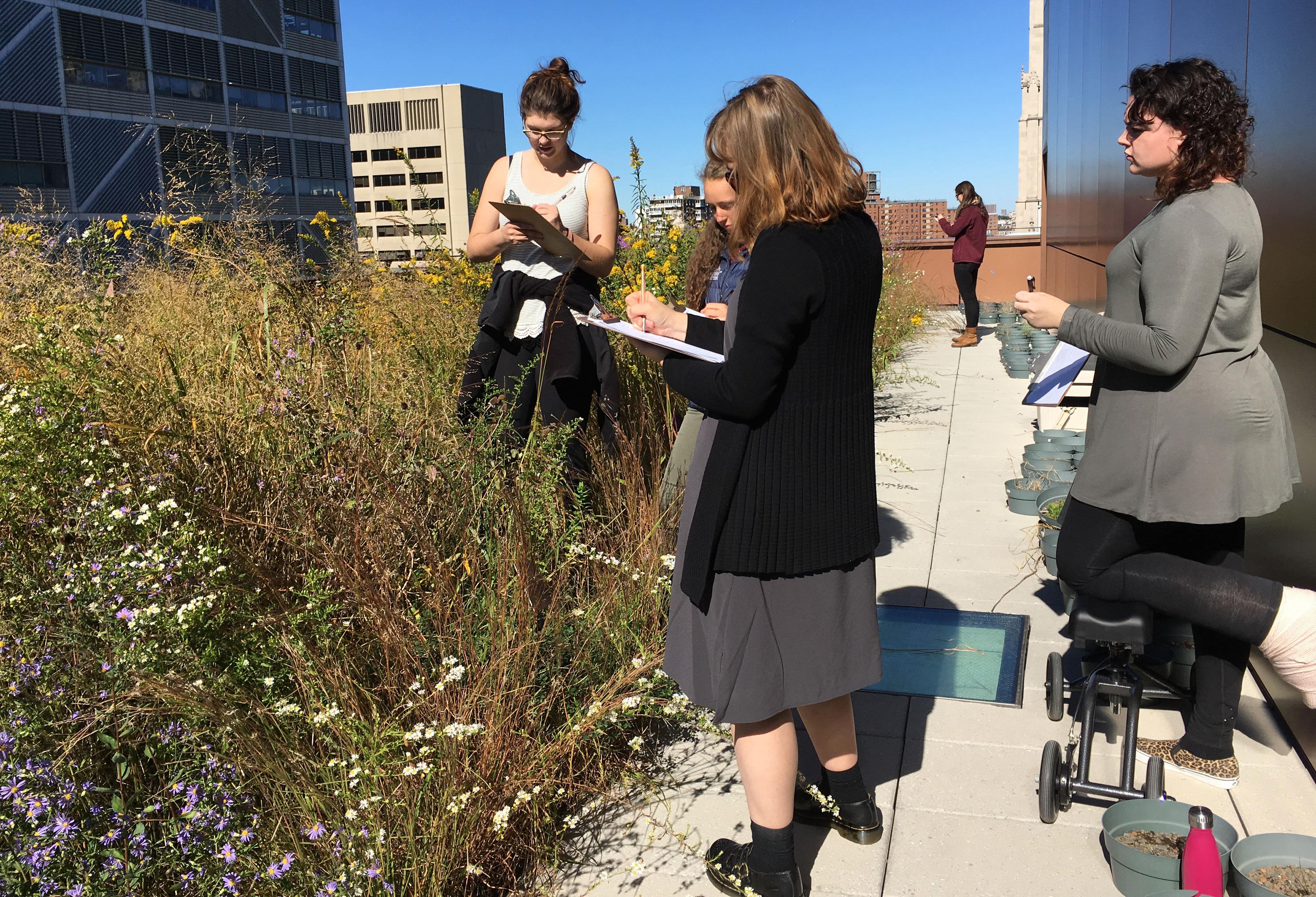 Students on the Diana rooftop, doing research 